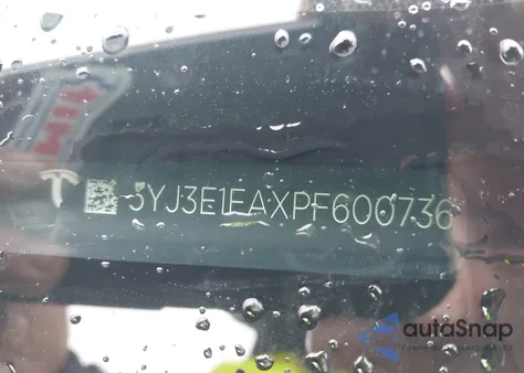 2023 Tesla Model 3 Rear-Wheel Drive z USA, uszkodzony, nr VIN 5YJ3E1EAXPF600736